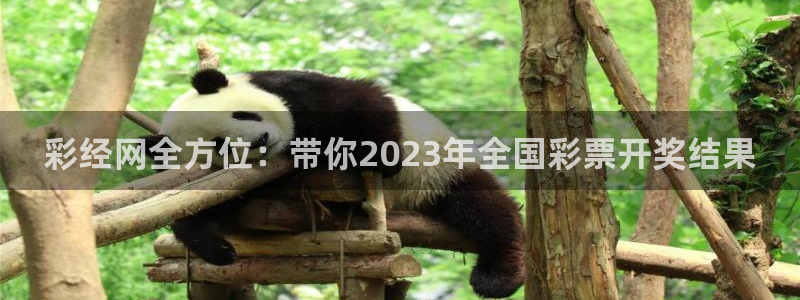 壹号娱乐app网页入口：彩经网全方位：带你2023年全国彩票开奖结果