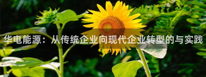 壹号平台app下载安装：华电能源：从传统企业向现代企业转型的与实践