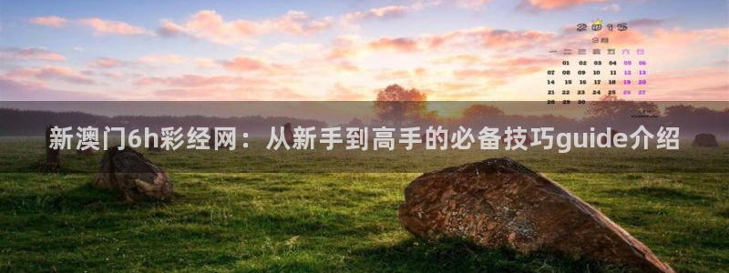 壹号娱乐app：新澳门6h彩经网：从新手到高手的必备技巧guide介绍
