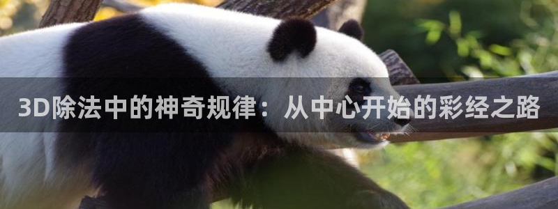 壹号娱乐平台app下载：3D除法中的神奇规律：从中心开始的彩经之路